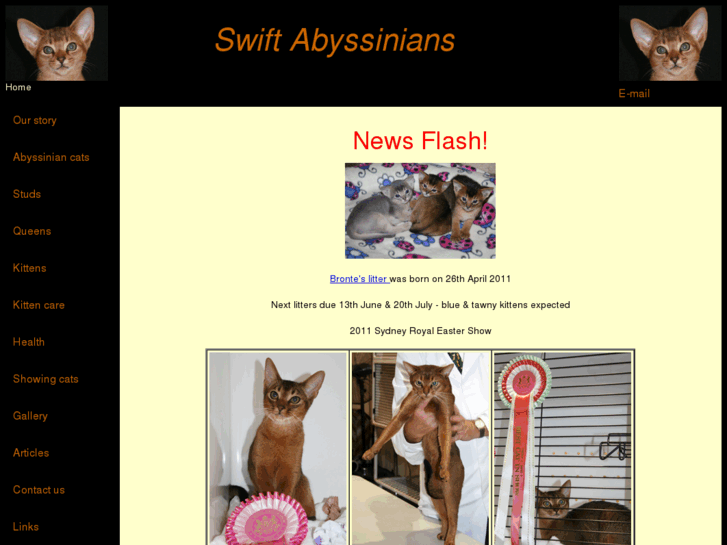 www.swiftabyssinians.com