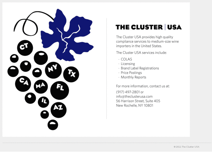 www.theclusterusa.com