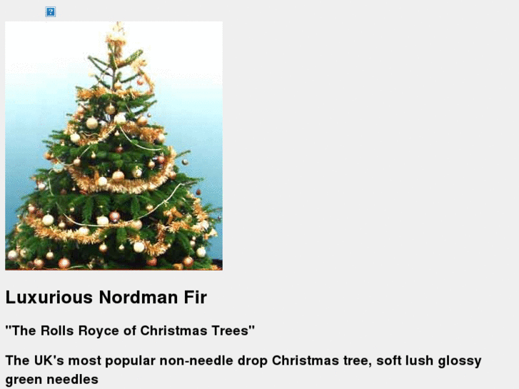 www.christmastreesrus.com