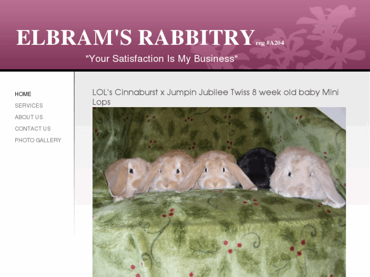 www.elbramsrabbitry.com