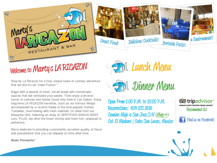 www.laricazon.com