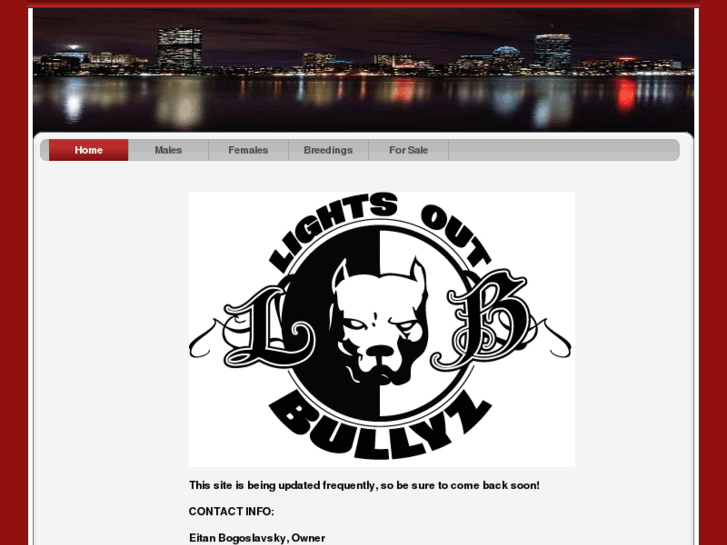 www.lightsoutbullyz.com