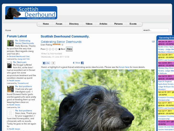 www.scottish-deerhound.com