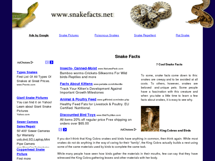 www.snakefacts.net