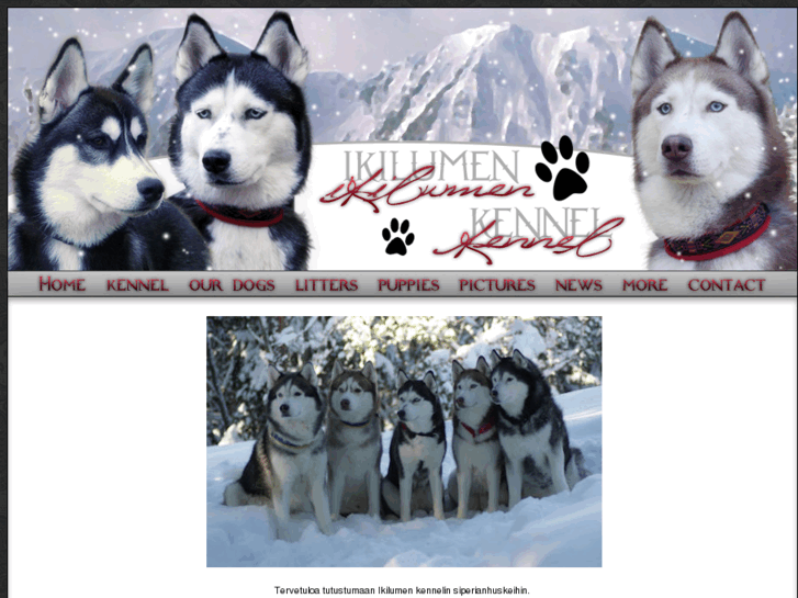 www.ikilumenkennel.net