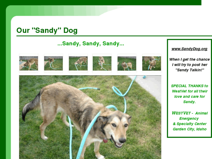 www.sandydog.org