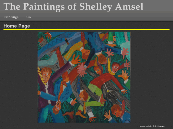 www.shelleyamsel.com