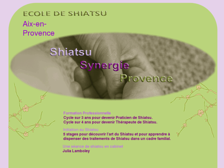 www.shiatsusynergie.fr