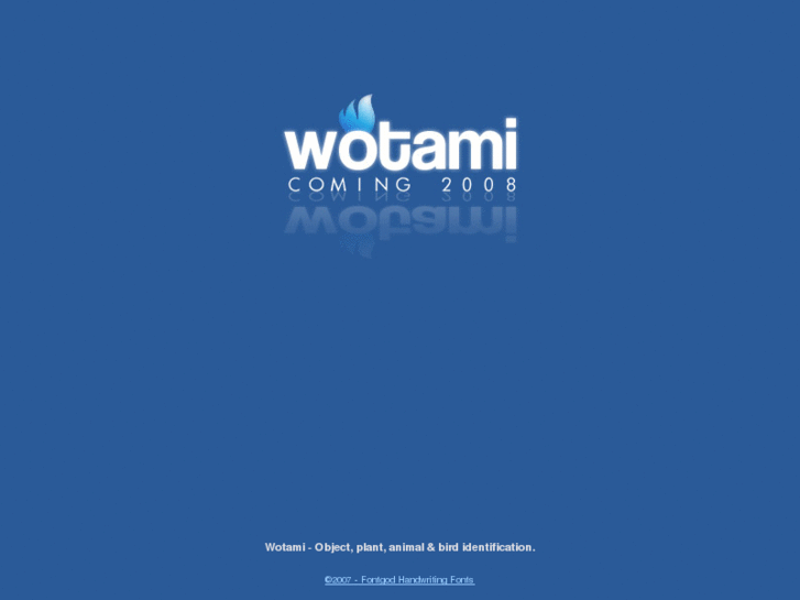 www.wotami.com