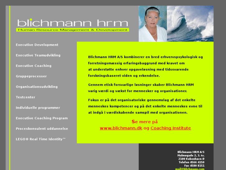www.blichmann.com