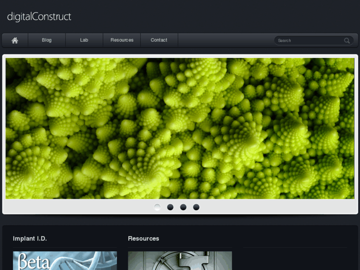 www.digitalconstruct.net