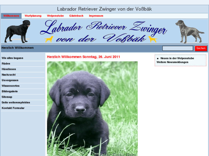 www.labradorgermany.de