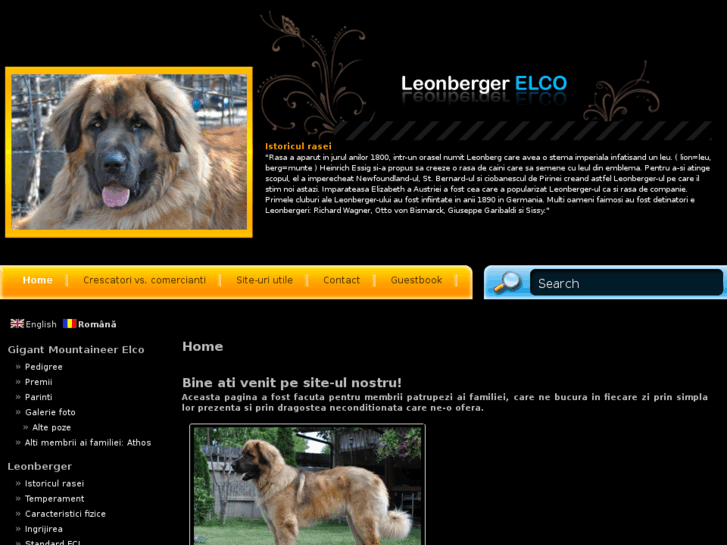 www.leonberger.ro