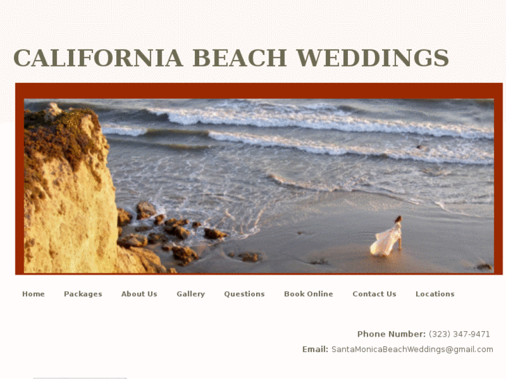 www.santamonicabeachweddings.com