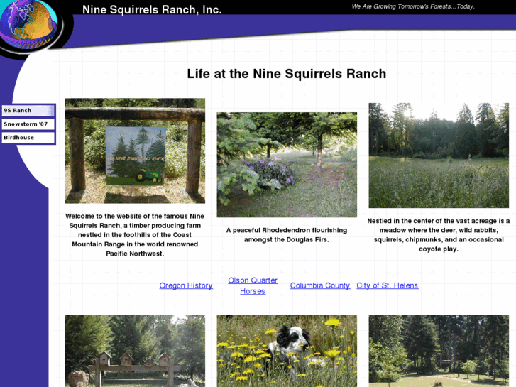 www.9sranch.com