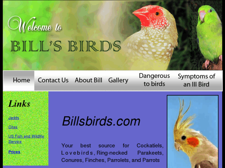 www.billsbirds.com