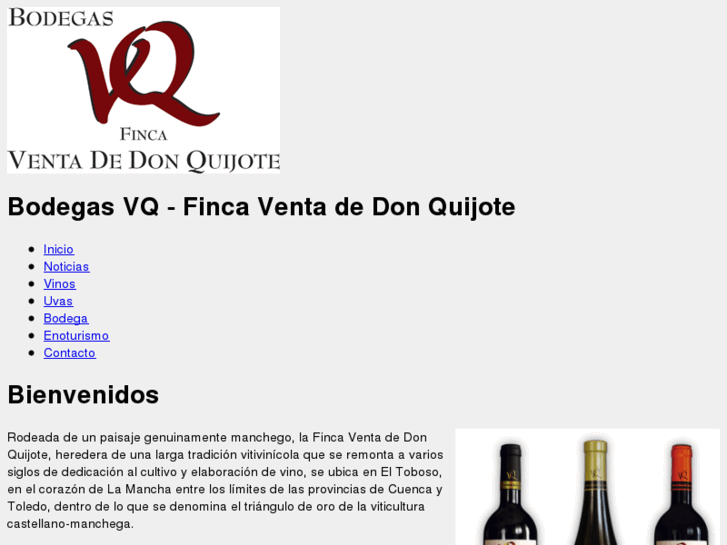 www.bodegasvq.com