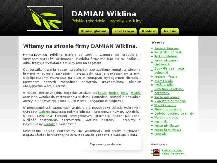 www.damian-wiklina.pl