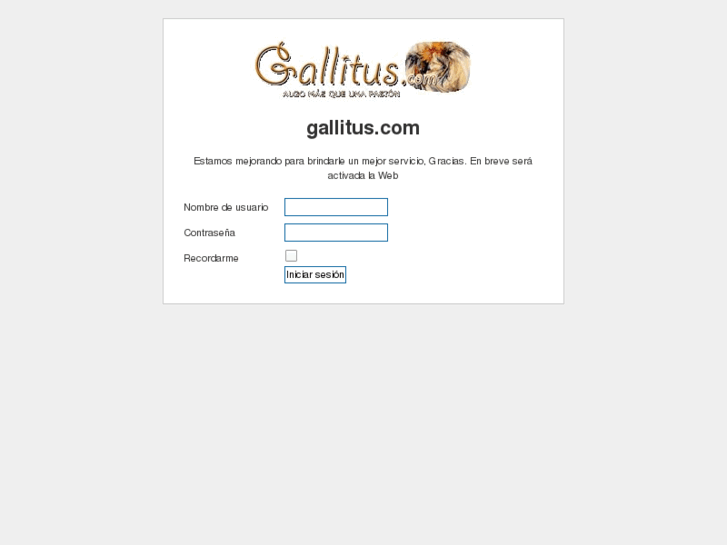 www.gallitus.com