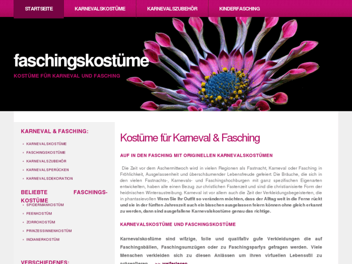 www.karnevalskostueme-web.de