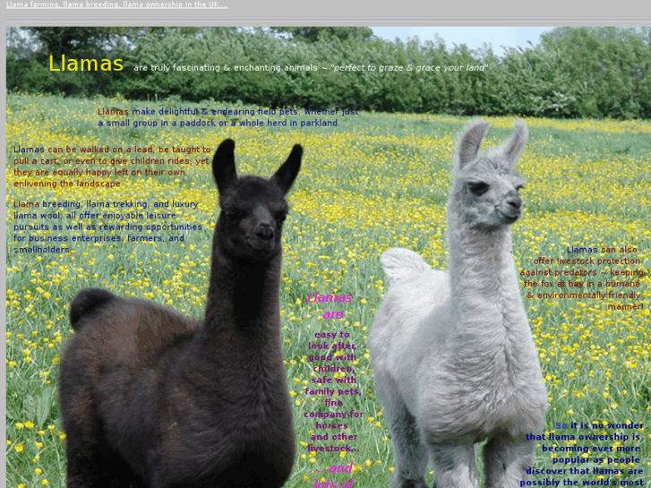 www.llamas.co.uk