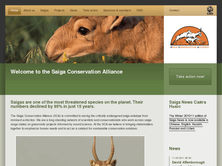 www.saiga-conservation.com