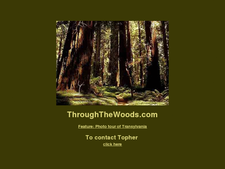 www.throughthewoods.com