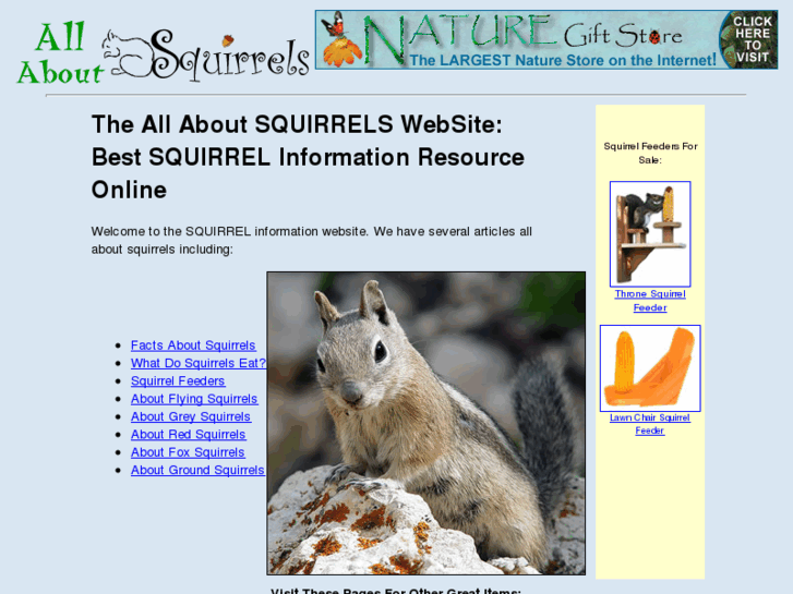 www.about-squirrels.com