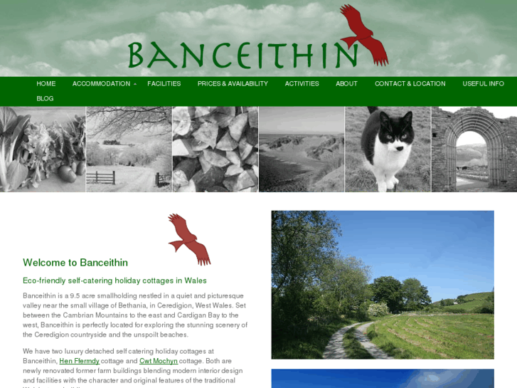 www.banceithin.com