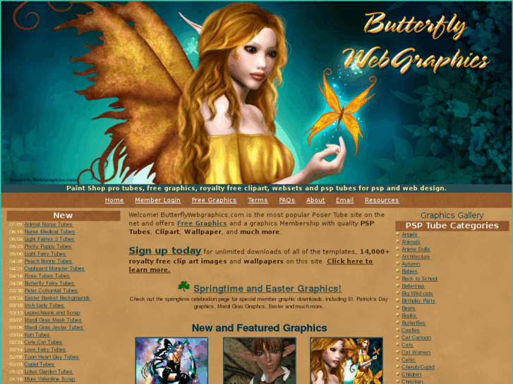 www.butterflywebgraphics.com