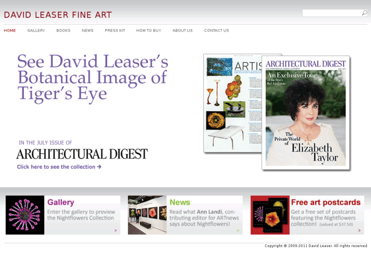 www.davidleaser.com