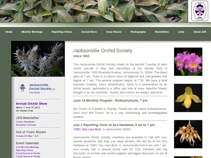 www.jaxorchidsociety.org