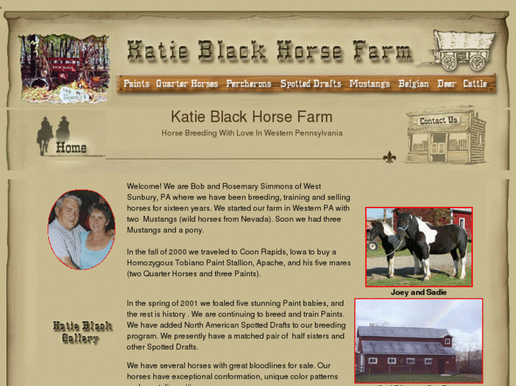 www.katieblackhorsefarm.com