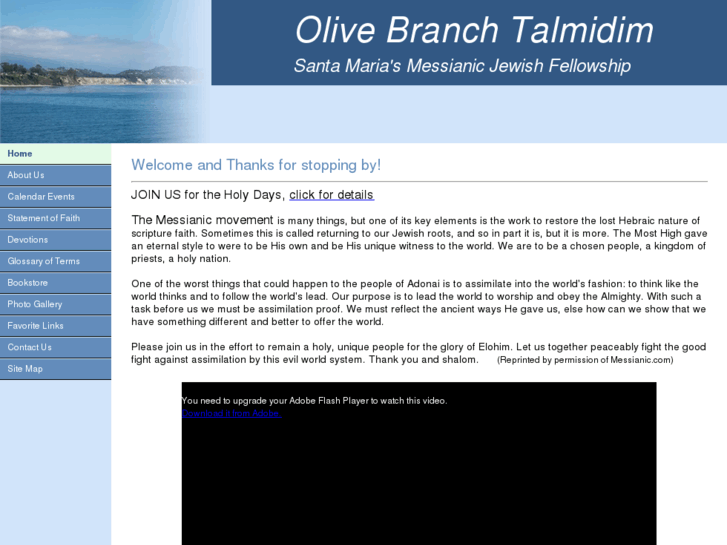 www.olivebranchtalmidim.com