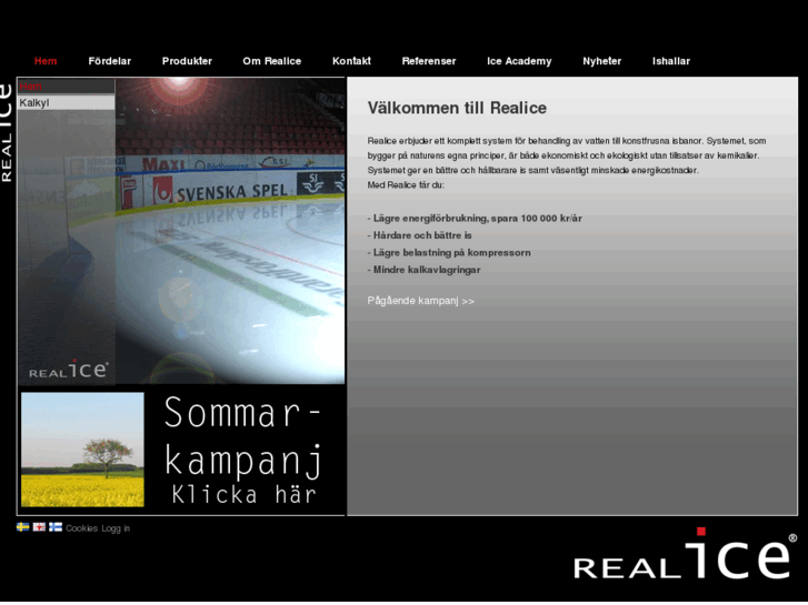 www.realice.se