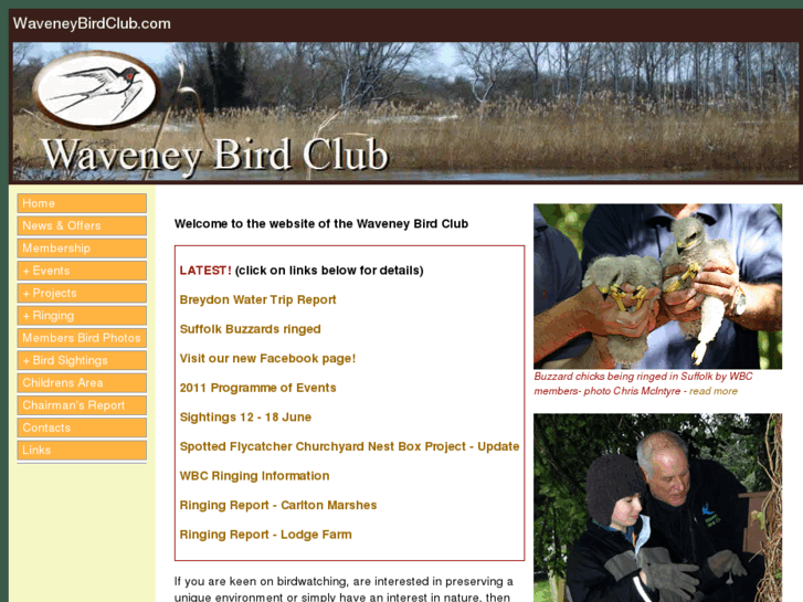 www.waveneybirdclub.com