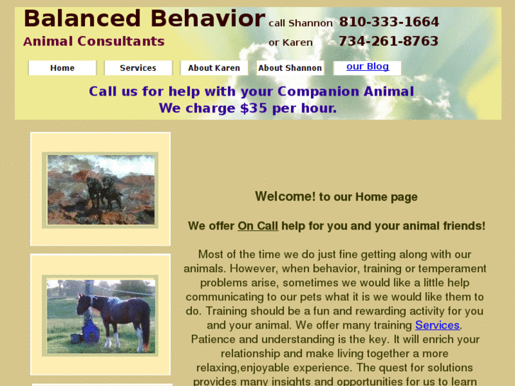 www.balancedbehavior.com