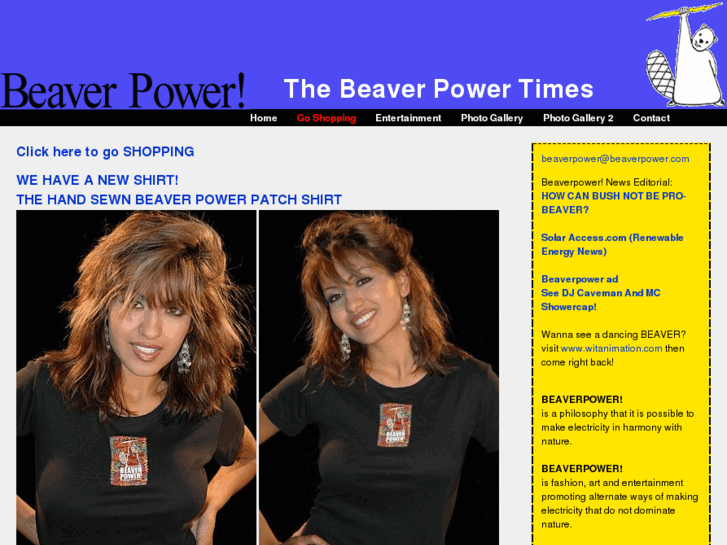 www.beaverpower.com
