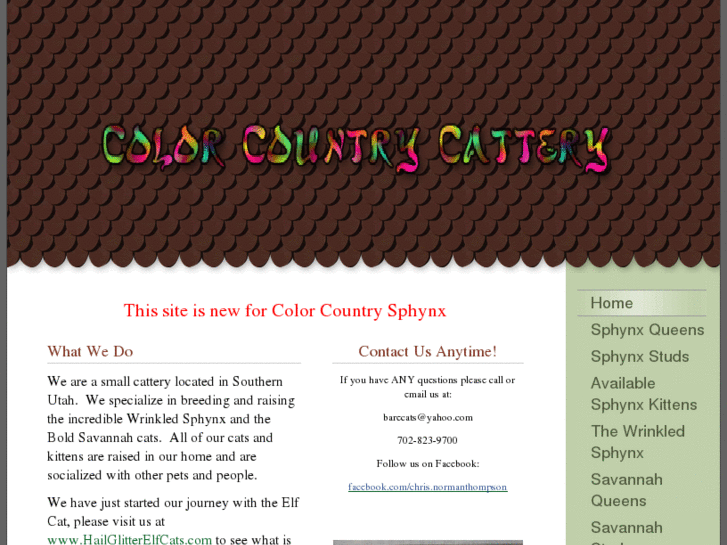 www.colorcountrycattery.com