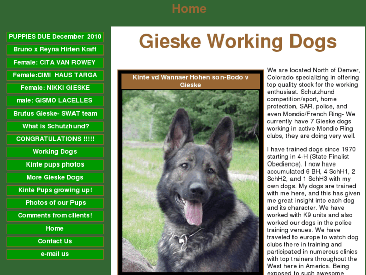 www.gieskeworkingdogs.com