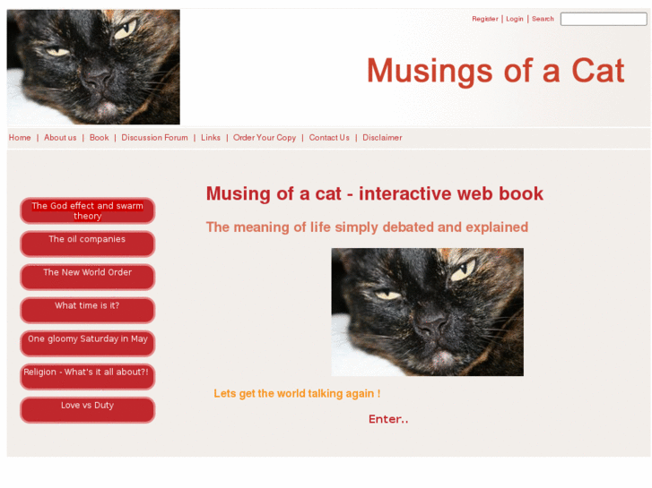 www.musingsofacat.com