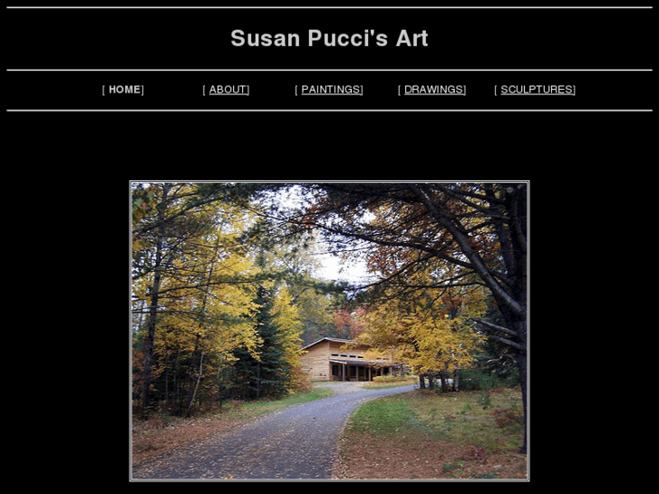 www.sjpucci-art.com