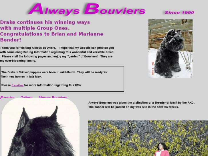 www.alwaysbouviers.com