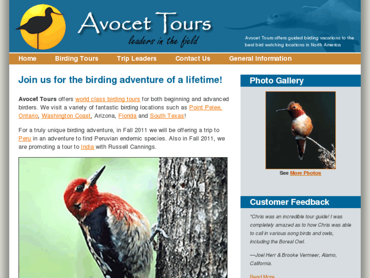 www.avocettours.ca