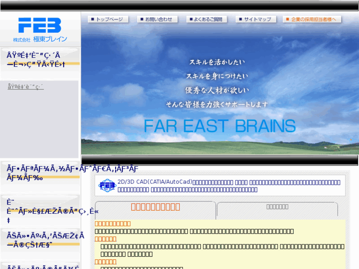 www.fe-brain.com