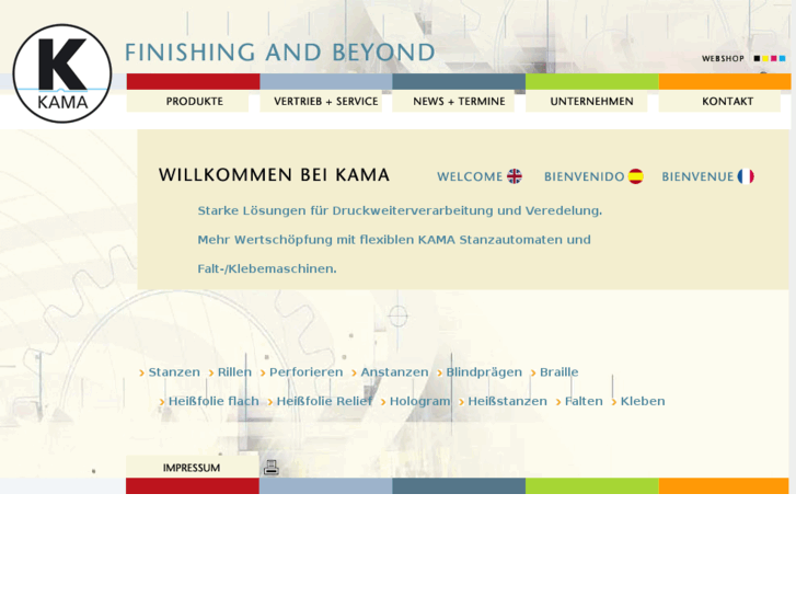 www.finishing-and-beyond.com