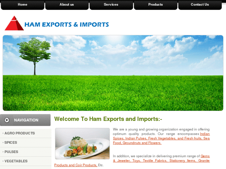 www.hamexportsimports.com