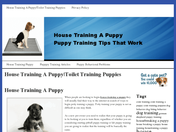 www.housetrainingapuppy.org