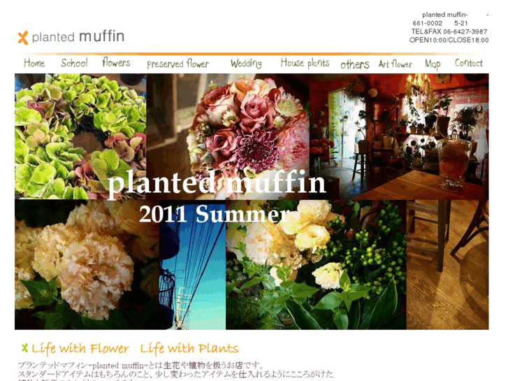 www.planted-muffin.com