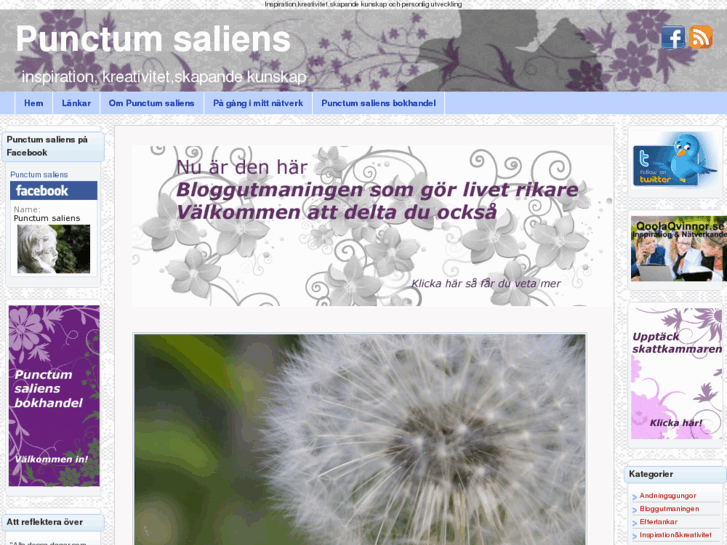 www.punctumsaliens.se